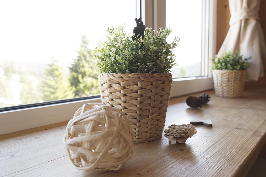 Kuckucksnester Feldberg 费尔德伯格 外观 照片